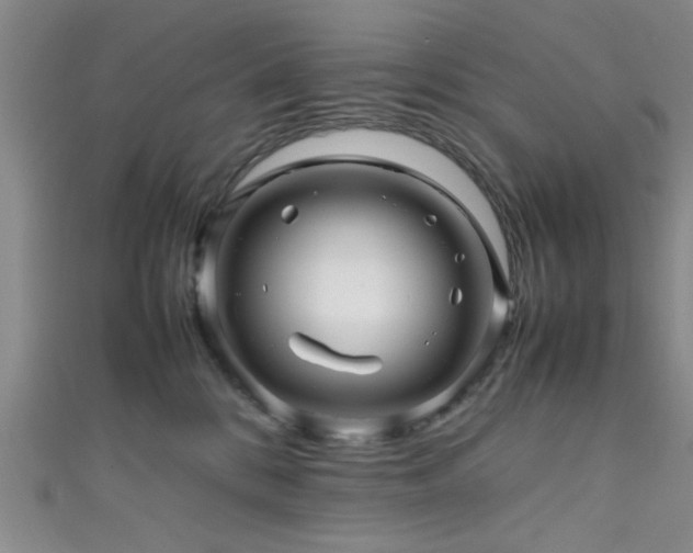 X0000111600328200907161558