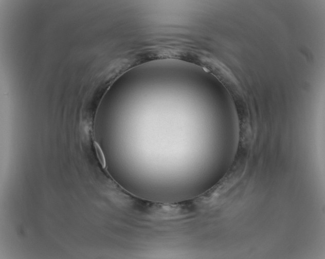 X0000111600329200907161558