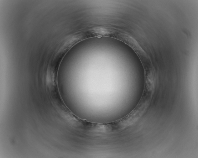 X0000111600330200907161558