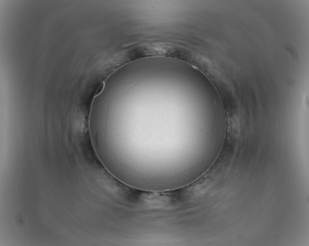 X0000111600331200907161558