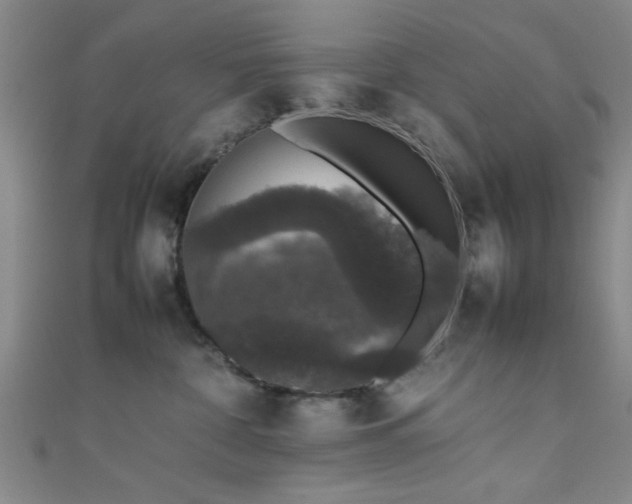 X0000111600332200907161558