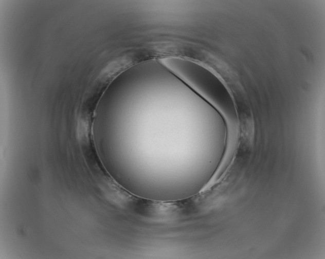 X0000111600333200907161558