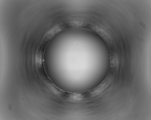 X0000111600334200907161558