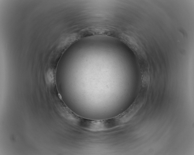 X0000111600335200907161558