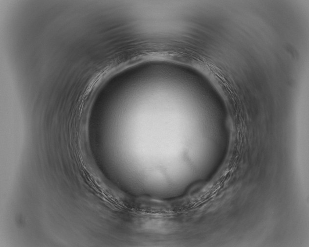 X0000111600337200907161557