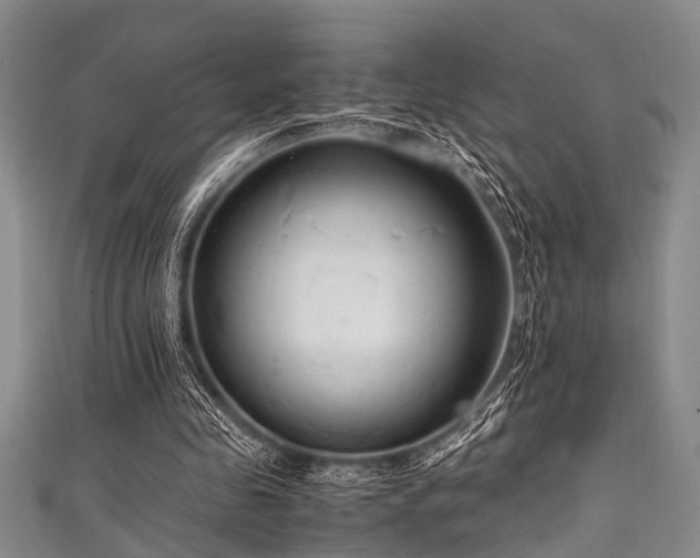 X0000111600341200907161557