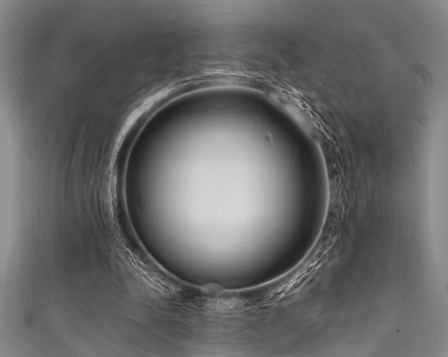 X0000111600342200907161557