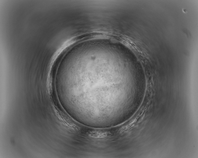X0000111600343200907161557