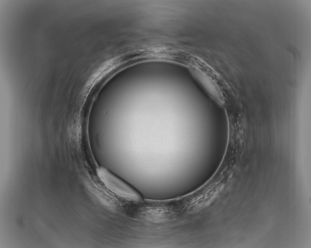 X0000111600344200907161557