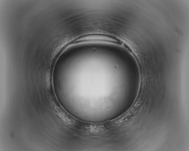 X0000111600345200907161557