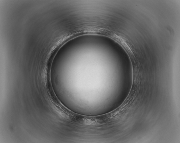 X0000111600346200907161557