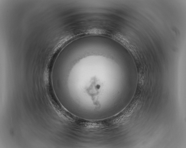 X0000111600347200907161557