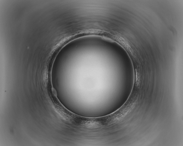 X0000111600348200907161557