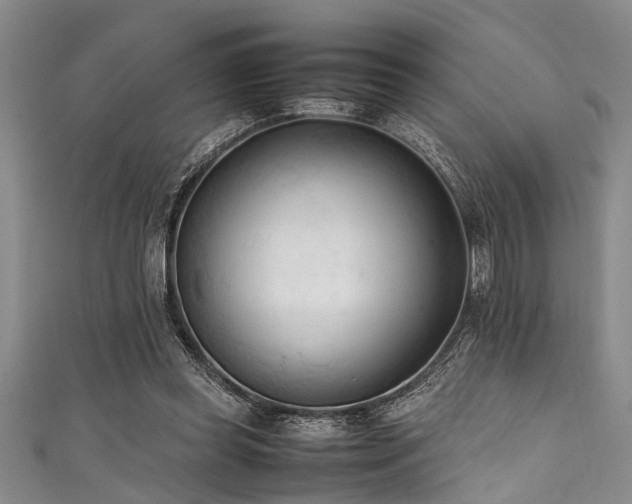 X0000111600349200907161557