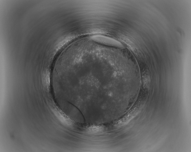 X0000111600350200907161557