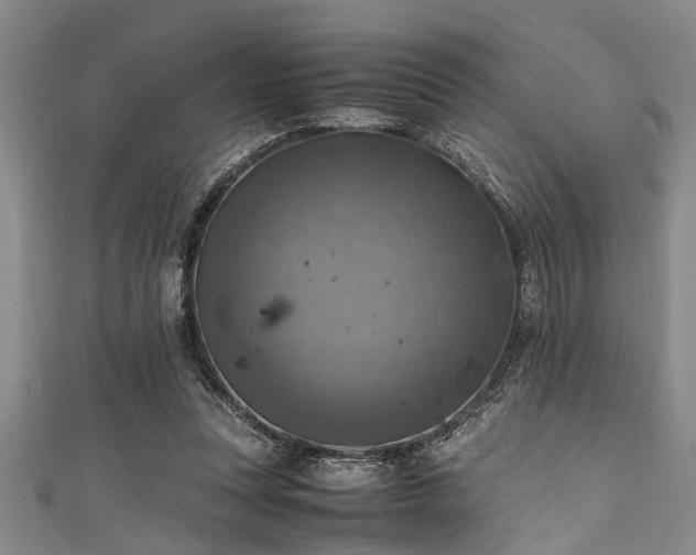 X0000111600351200907161557