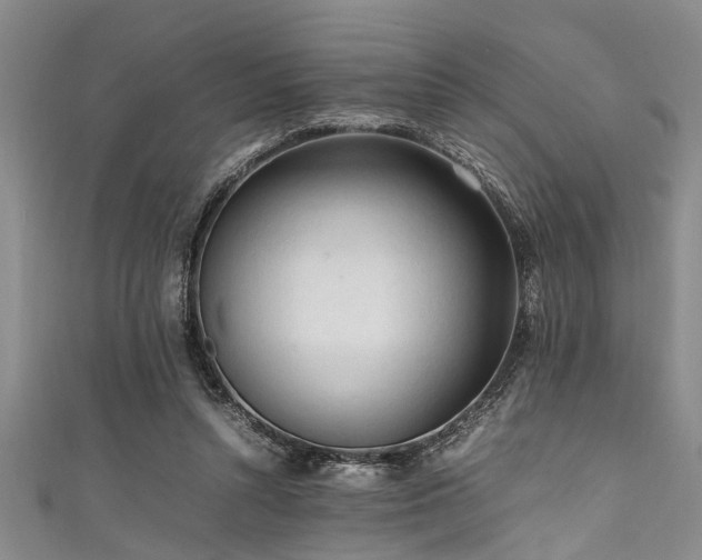 X0000111600352200907161557