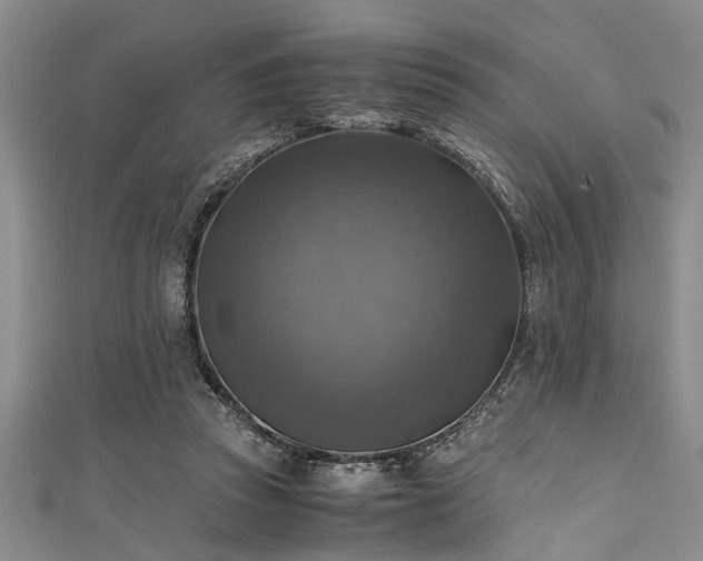 X0000111600353200907161557