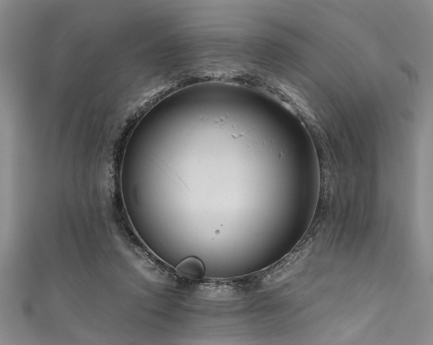 X0000111600354200907161557