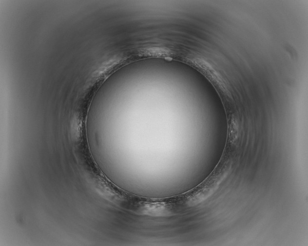 X0000111600355200907161557