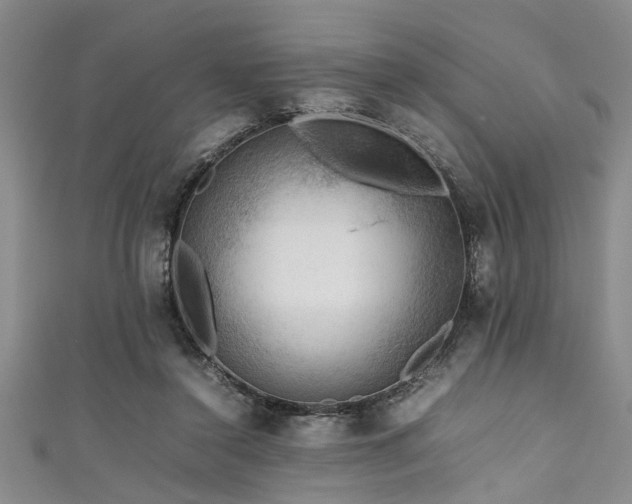 X0000111600356200907161557