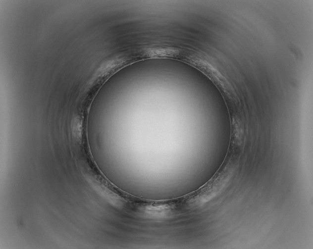 X0000111600357200907161557