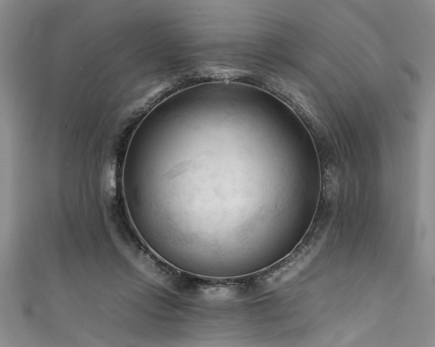 X0000111600358200907161557