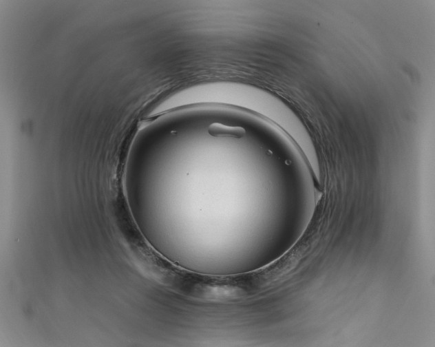 X0000111600360200907161558