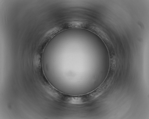 X0000111600361200907161558