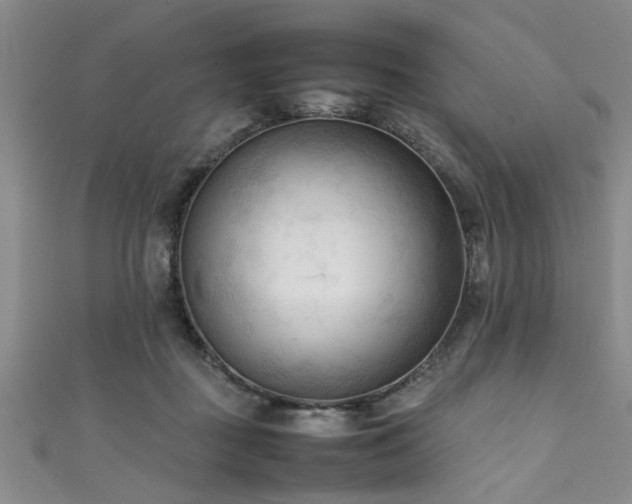 X0000111600363200907161558