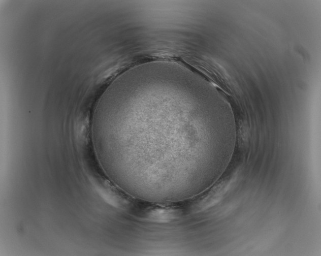 X0000111600364200907161558