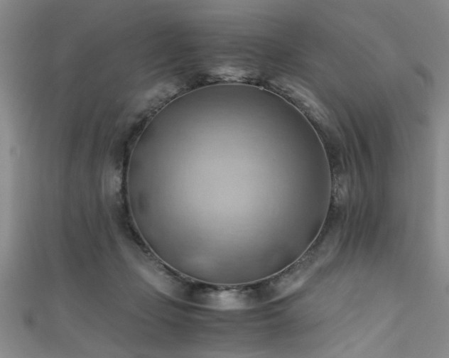 X0000111600365200907161558