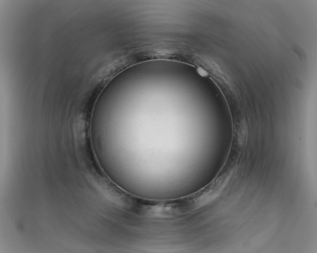 X0000111600366200907161558