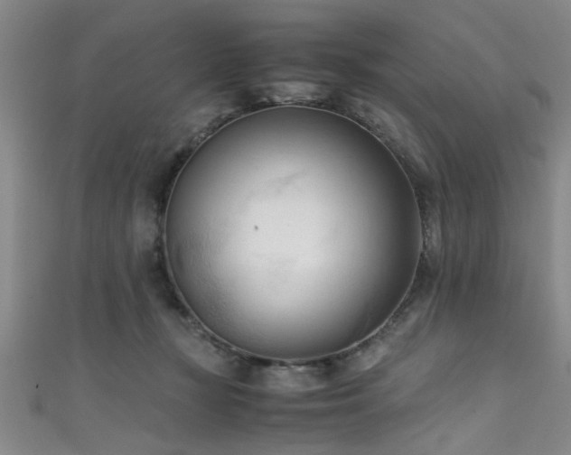 X0000111600367200907161558