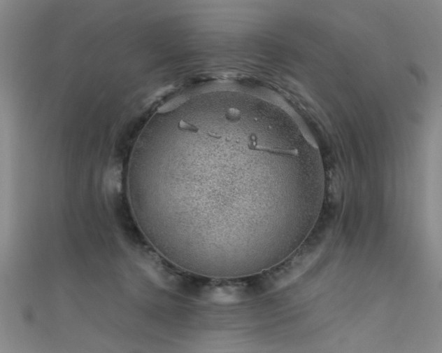 X0000111600368200907161558