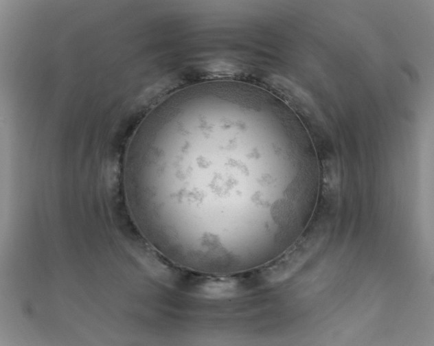 X0000111600369200907161558
