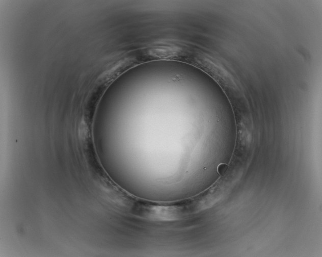 X0000111600371200907161558