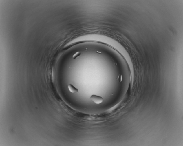 X0000111600372200907161558