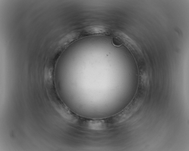 X0000111600373200907161558