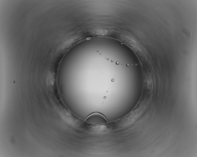 X0000111600374200907161558