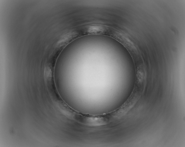X0000111600375200907161558
