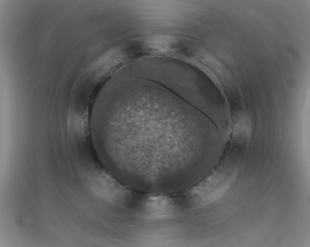 X0000111600376200907161558