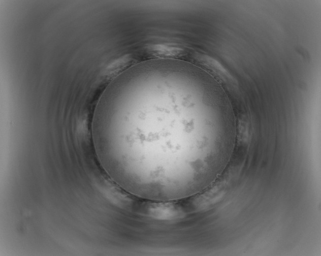 X0000111600377200907161558