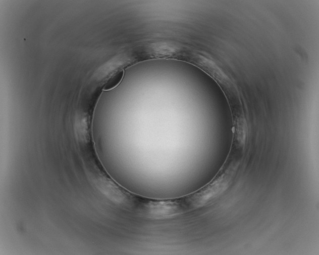 X0000111600378200907161558