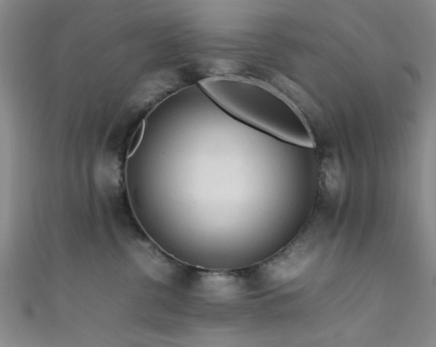 X0000111600380200907161558