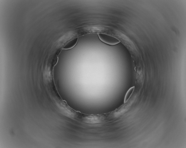 X0000111600381200907161558