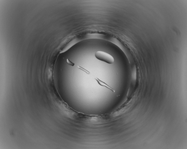 X0000111600382200907161558