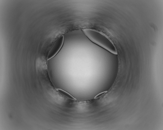 X0000111600384200907161558