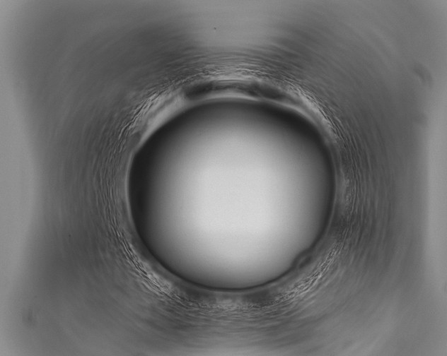 X0000111600385200907161557