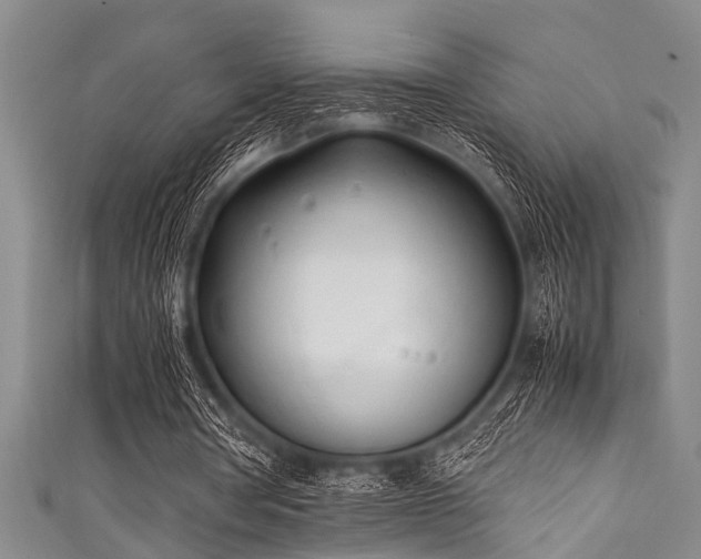 X0000111600386200907161557